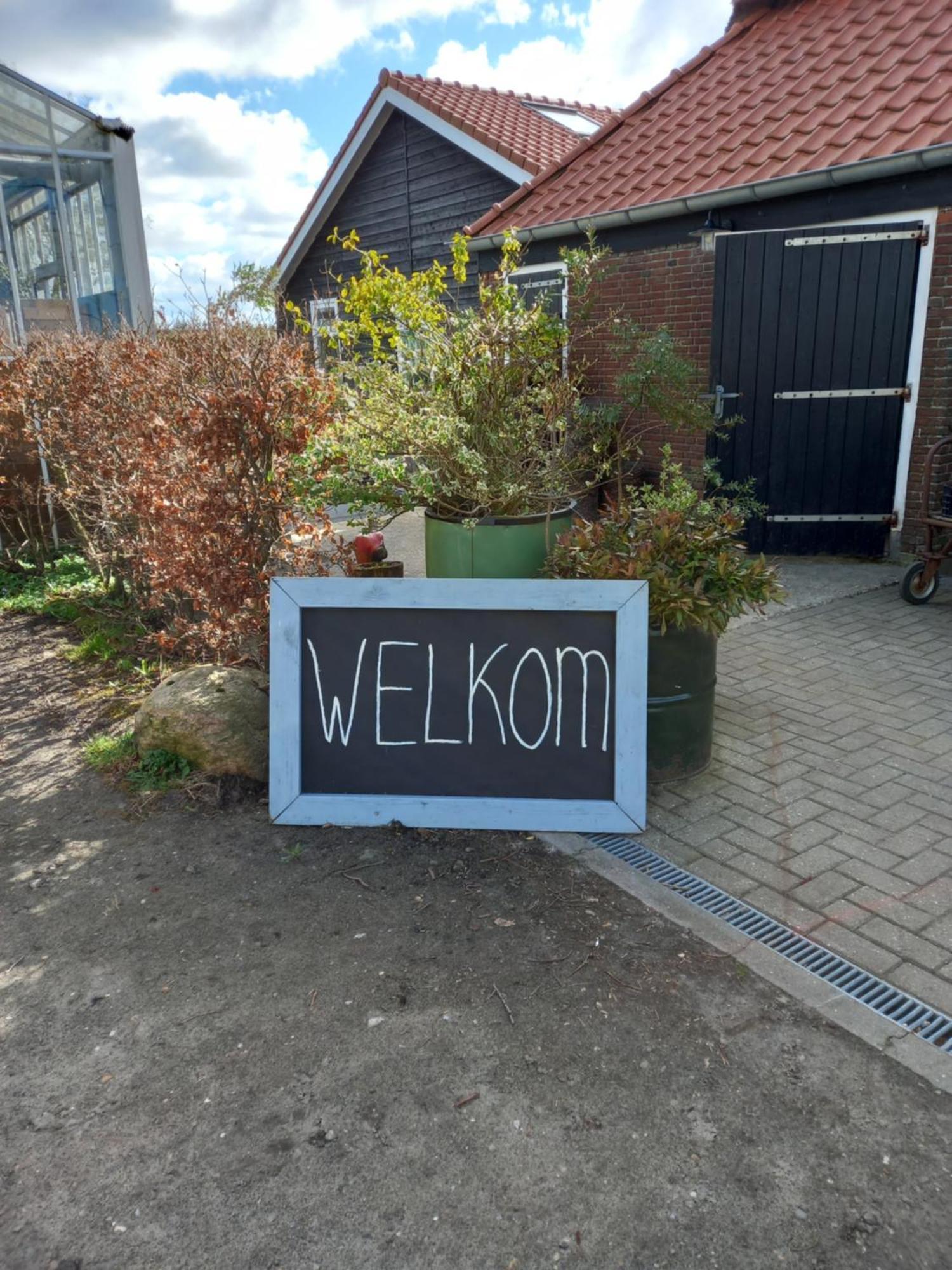 B&B Aan De Fjildwei Rinsumageest Exteriör bild