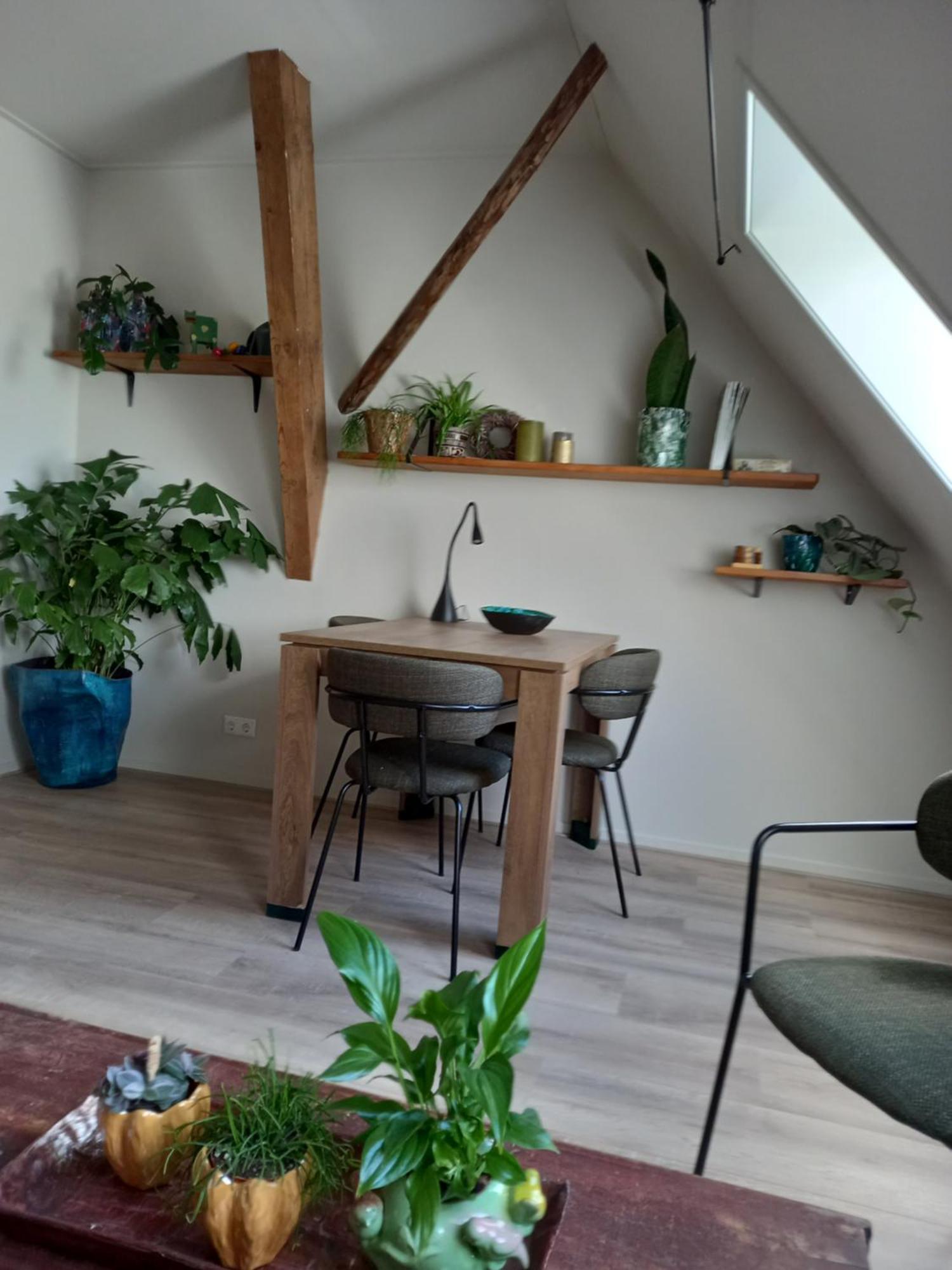 B&B Aan De Fjildwei Rinsumageest Exteriör bild