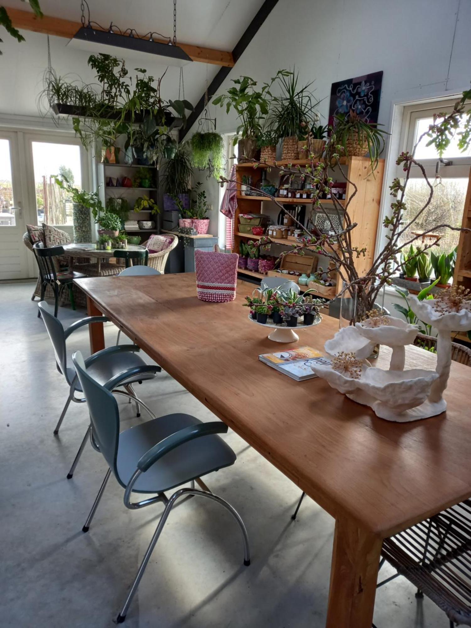 B&B Aan De Fjildwei Rinsumageest Exteriör bild