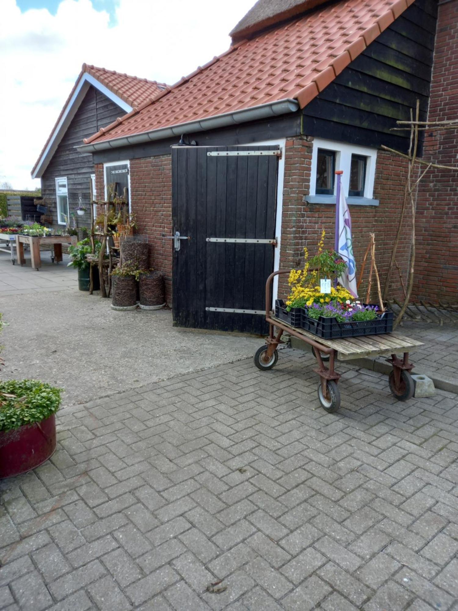 B&B Aan De Fjildwei Rinsumageest Exteriör bild